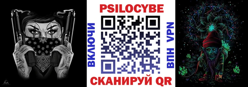 дарк нет как зайти  Вольск  Галлюциногенные грибы GOLDEN TEACHER 